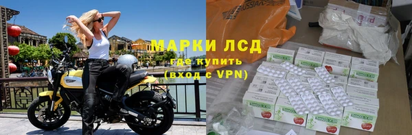 PSILOCYBIN Абаза