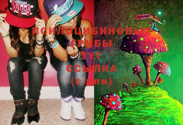 PSILOCYBIN Абаза