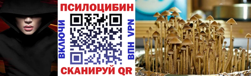 Псилоцибиновые грибы мухоморы  Новосиль 