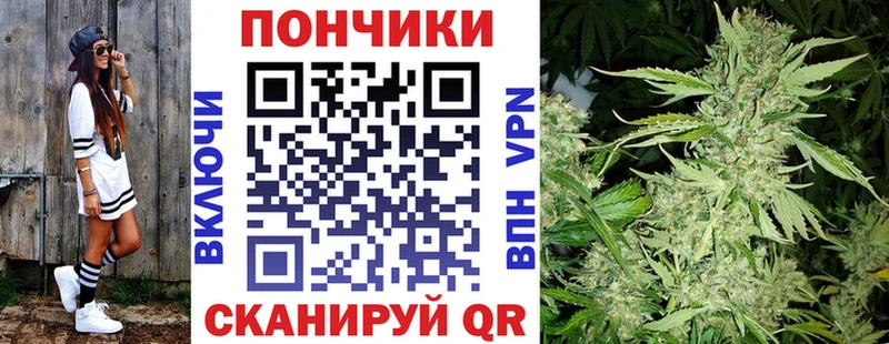 Каннабис OG Kush  дарнет шоп  Новосиль 